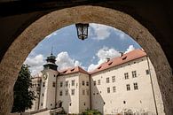 Schloss Pieskowa in Polen von Eric van Nieuwland Miniaturansicht