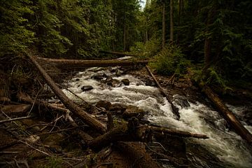 Canada's water van Luc Sijbers