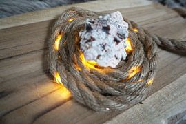 shell lights by Kimberly Van Muylder