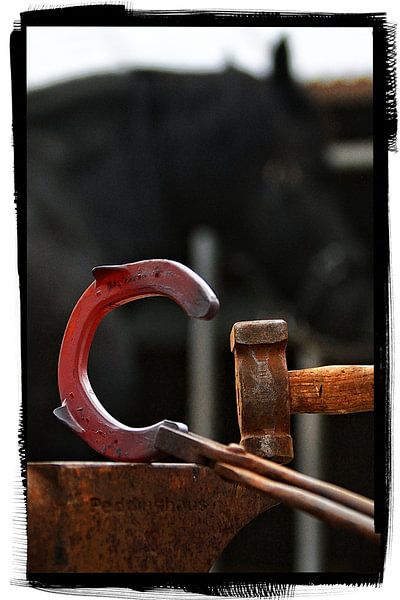 Hoefsmid 9 van Wybrich Warns