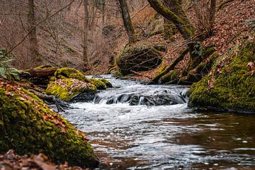 Wasserfall und Bach in den belgischen Ardennen von Coert van Opstal