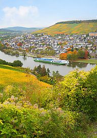 Kreuzfahrtschiff auf der Mosel bei Bernkastel-Kues von SusaZoom