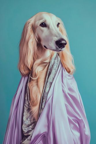 Afghaanse windhond