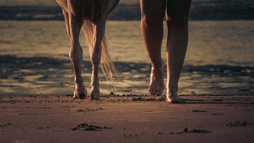 Wandelen op het strand met z'n tweetjes
