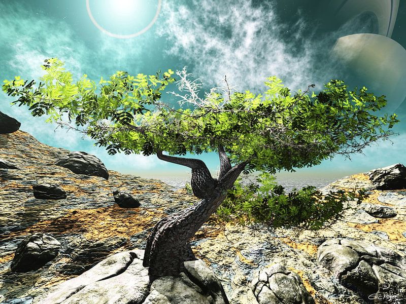 The Last Tree von Eric Nagel