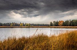 Heavy rain shower on the Somerse heathland by Peschen Photography