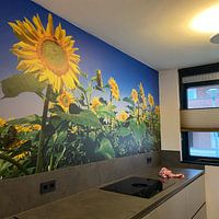 Kundenfoto: Sonnenblume von Hennnie Keeris, auf nahtloser fototapete