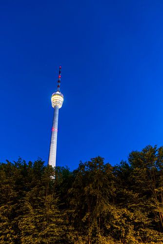 TV-toren van de stad Stuttgart bij nacht verlicht en omgeven door bos
