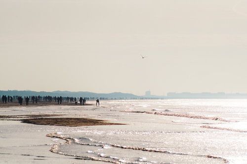Warmlopen Op Een Winterstrand