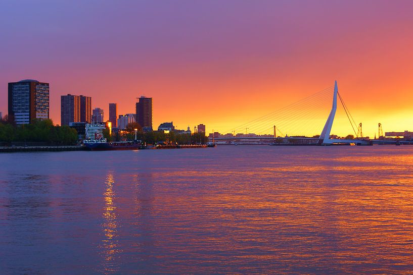 Rotterdam par Michel van Kooten