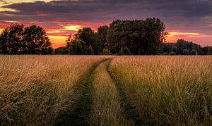 Path to sunset by Wim van D