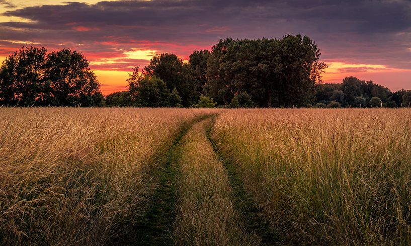 Path to sunset by Wim van D