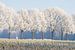 winterse bomenrij 2 Sint-Michielsgestel von Arnoud Kunst