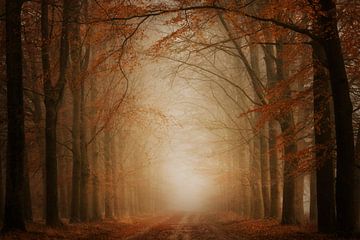 RED by Martin Podt