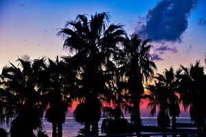 Le soir sur la plage