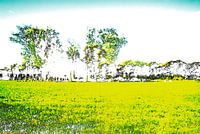 Disturbed Landscape #003