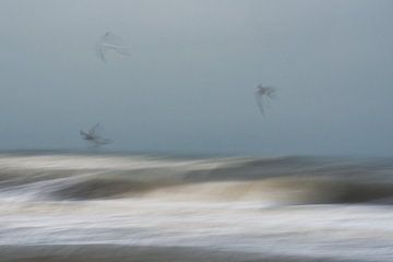 ICM - long exposure beach 3