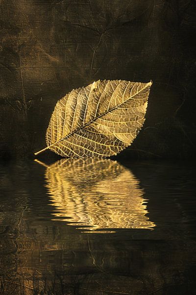 Feuille dorée flottant sur une eau sépia par Art & Soul Creations