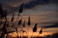 Zonsondergang