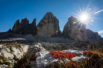 Three Peaks in the Backlight by Andreas Müller