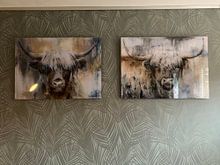 Klantfoto: Highland Cow II van Atelier Paint-Ing, op aluminium