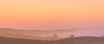 Posbank rosa und orange Sonnenaufgang von Gea Gaetani d'Aragona