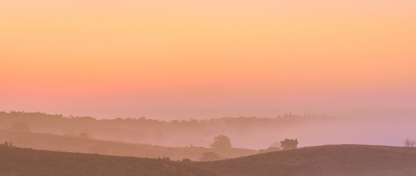 Posbank pink and orange sunrise by Gea Gaetani d'Aragona