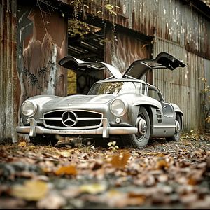 Lost Place Mercedes 300 SL portes battantes argent arrière-cour