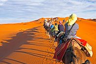 Camel caravan going through the sand dunes in the Sahara Desert, Morocco. von Eye on You Miniaturansicht
