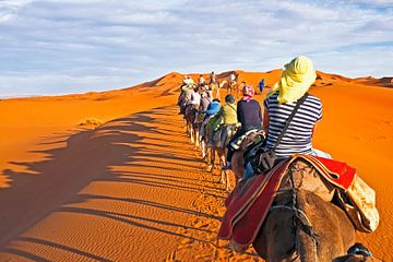 Camel caravan going through the sand dunes in the Sahara Desert, Morocco. van Eye on You