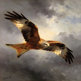 Raubvögel – Rotmilan von Johannas Art Creations