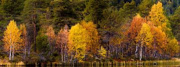 Herbstfarben am See in Norwegen