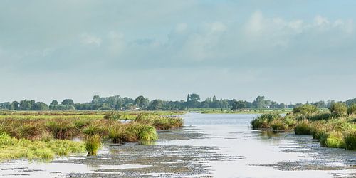 Hollands polderlandschap