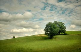 Rolling Fields by Kees van Dongen