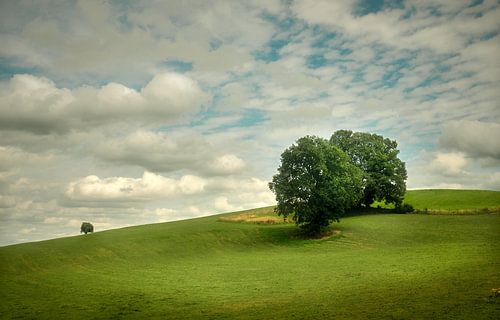 Rolling Fields (Glooiende velden)