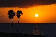 Sonnenuntergang Palmen von M DH Miniaturansicht