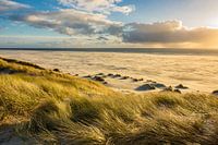 Landschaft mit Dünen auf der Insel Amrum