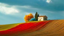 Haus auf dem Hügel von May