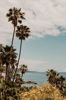 Laguna Beach Californië zeezicht