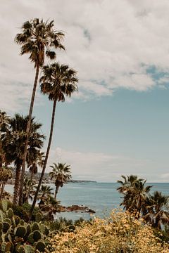 Laguna Beach Californië zeezicht van Amber den Oudsten