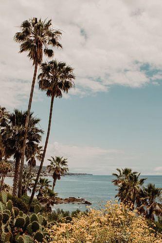 Laguna Beach Californië zeezicht van Amber den Oudsten