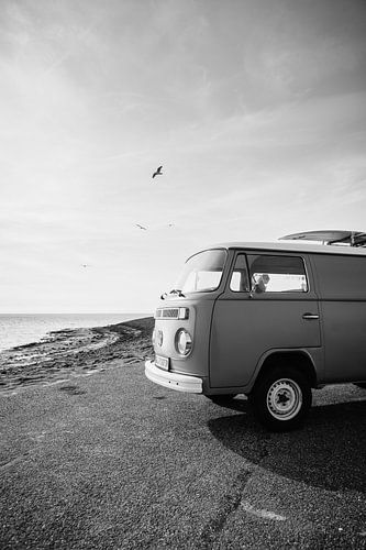 Volkswagen Surf Bus