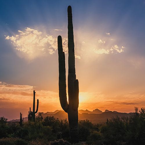 Sonnenuntergang im Lost Dutchman State Park von Henk Meijer Photography