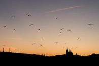 Zonsondergang in Praag van Evelyne Renske thumbnail