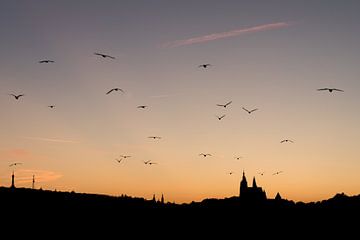 Sonnenuntergang in Prag von Evelyne Renske