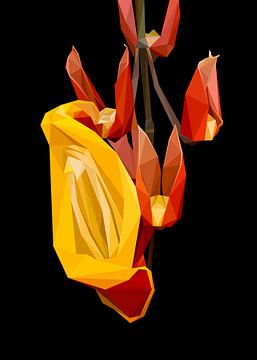 Gele Rode Trompetvaren Abstracte Bloem van Yoga Art 15