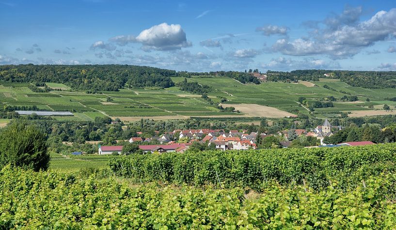 Weinort Großwinternheim bei Ingelheim,Rheinhessen von Peter Eckert