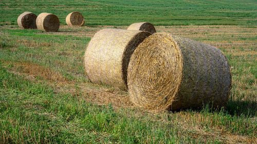 Strobalen in een veld