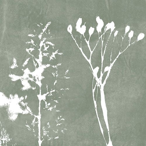 Herbe et branche en vert gris. Illustration botanique dans le style vintage.