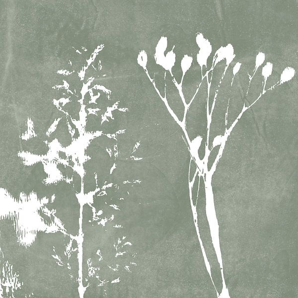 Herbe et branche en vert gris. Illustration botanique dans le style vintage. par Dina Dankers